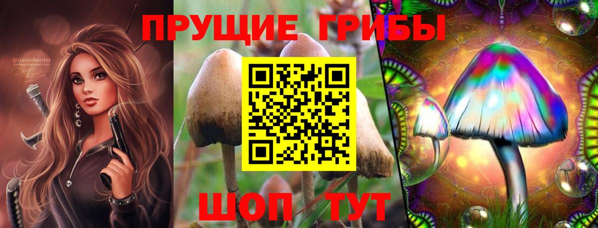 Галлюциногенные грибы Psilocybe  Галлюциногенные грибы Psilocybe  Вход с VPN  Орск 