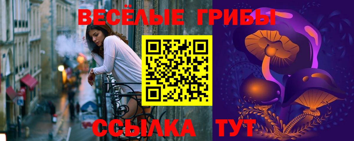 Орск  Псилоцибиновые грибы ЛСД  Вход с VPN 