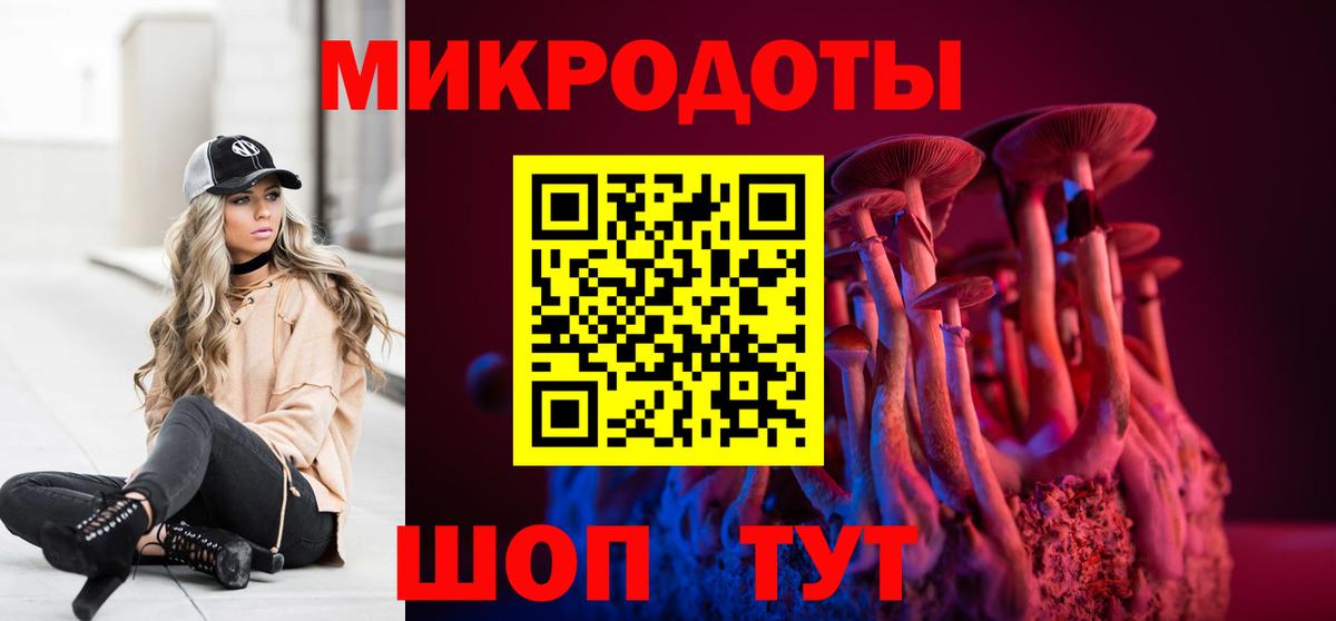 Галлюциногенные грибы Psilocybine cubensis Орск